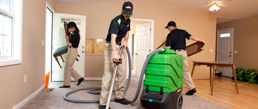 Carleton, MI cleaning services